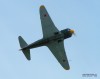 Yak 11