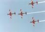 Roulettes "Swan"