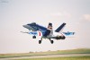 Hornet