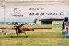 Mike Mangold