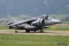 Harrier