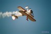 Stearman Wingwalking