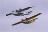 Formation Catalina und Do 24