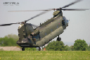 chinook