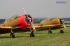 Harvards