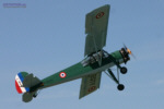 Storch