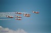 Snowbirds