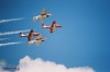 Snowbirds