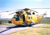 Sea King