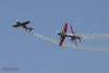 Royal Jordanian Falcons