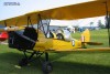 Tiger Moth