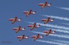 Snowbirds