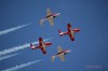 Snowbirds