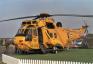 Sea King